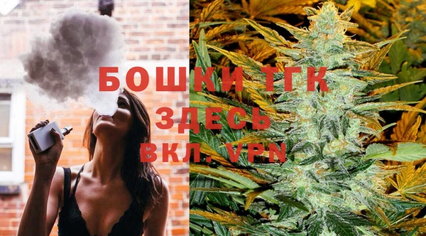 стафф Аркадак